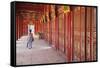 Woman at Imperial Palace in Citadel, Hue, Thua Thien-Hue, Vietnam, Indochina, Southeast Asia, Asia-Ian Trower-Framed Stretched Canvas