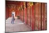 Woman at Imperial Palace in Citadel, Hue, Thua Thien-Hue, Vietnam, Indochina, Southeast Asia, Asia-Ian Trower-Mounted Photographic Print