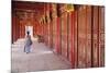 Woman at Imperial Palace in Citadel, Hue, Thua Thien-Hue, Vietnam, Indochina, Southeast Asia, Asia-Ian Trower-Mounted Photographic Print