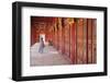 Woman at Imperial Palace in Citadel, Hue, Thua Thien-Hue, Vietnam, Indochina, Southeast Asia, Asia-Ian Trower-Framed Photographic Print