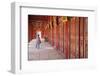 Woman at Imperial Palace in Citadel, Hue, Thua Thien-Hue, Vietnam, Indochina, Southeast Asia, Asia-Ian Trower-Framed Photographic Print