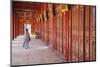 Woman at Imperial Palace in Citadel, Hue, Thua Thien-Hue, Vietnam, Indochina, Southeast Asia, Asia-Ian Trower-Mounted Photographic Print