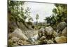 Woman at Stream-Francesco Vinea-Mounted Giclee Print