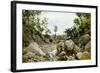 Woman at Stream-Francesco Vinea-Framed Giclee Print