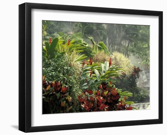 Woman at Tabacon Hot Springs near Arenal Volcano, Costa Rica-Stuart Westmoreland-Framed Premium Photographic Print