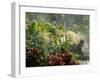 Woman at Tabacon Hot Springs near Arenal Volcano, Costa Rica-Stuart Westmoreland-Framed Premium Photographic Print