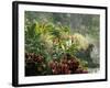 Woman at Tabacon Hot Springs near Arenal Volcano, Costa Rica-Stuart Westmoreland-Framed Photographic Print