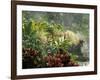 Woman at Tabacon Hot Springs near Arenal Volcano, Costa Rica-Stuart Westmoreland-Framed Photographic Print