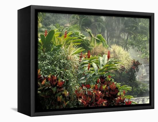 Woman at Tabacon Hot Springs near Arenal Volcano, Costa Rica-Stuart Westmoreland-Framed Stretched Canvas