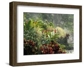 Woman at Tabacon Hot Springs near Arenal Volcano, Costa Rica-Stuart Westmoreland-Framed Photographic Print