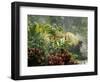 Woman at Tabacon Hot Springs near Arenal Volcano, Costa Rica-Stuart Westmoreland-Framed Photographic Print