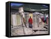 Woman at the Cape Flats, Cape Town, South Africa, Africa-Yadid Levy-Framed Stretched Canvas