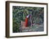 Woman at the Well 2021 (oil)-Tilly Willis-Framed Giclee Print