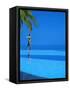 Woman Balancing on Edge of Infinity Pool, Maldives, Indian Ocean-Papadopoulos Sakis-Framed Stretched Canvas