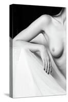 Woman beauty-Jan Blasko-Stretched Canvas