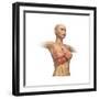 Woman Body Midsection with Interior Organs Superimposed-null-Framed Premium Giclee Print