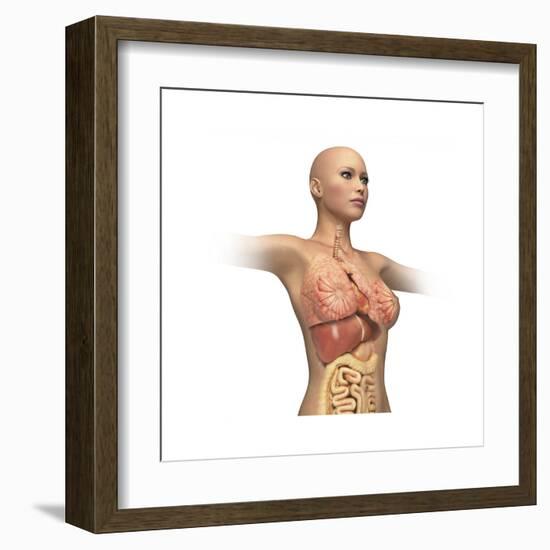 Woman Body Midsection with Interior Organs Superimposed-null-Framed Art Print