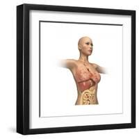 Woman Body Midsection with Interior Organs Superimposed-null-Framed Art Print