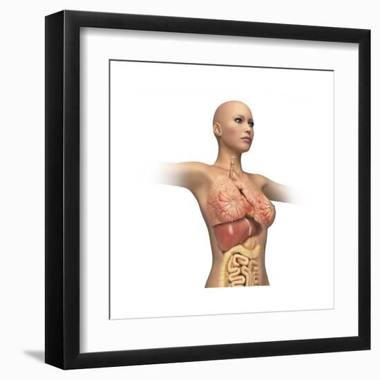 Woman Body Midsection with Interior Organs Superimposed-null-Framed Art Print