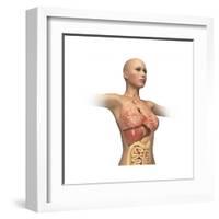 Woman Body Midsection with Interior Organs Superimposed-null-Framed Art Print