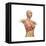 Woman Body Midsection with Interior Organs Superimposed-null-Framed Stretched Canvas