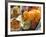 Woman Buying Marigolds, Flower Market, Bari Chaupar, Jaipur, Rajasthan, India, Asia-Annie Owen-Framed Photographic Print