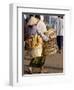 Woman Carrying Baskets of French Bread, Talaat Sao Market in Vientiane, Laos, Southeast Asia-Alain Evrard-Framed Photographic Print