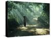 Woman Carrying Coconuts to Market, Peliatan, Bali, Indonesia, Southeast Asia-James Green-Stretched Canvas