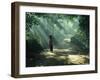 Woman Carrying Coconuts to Market, Peliatan, Bali, Indonesia, Southeast Asia-James Green-Framed Photographic Print