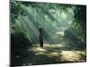 Woman Carrying Coconuts to Market, Peliatan, Bali, Indonesia, Southeast Asia-James Green-Mounted Photographic Print