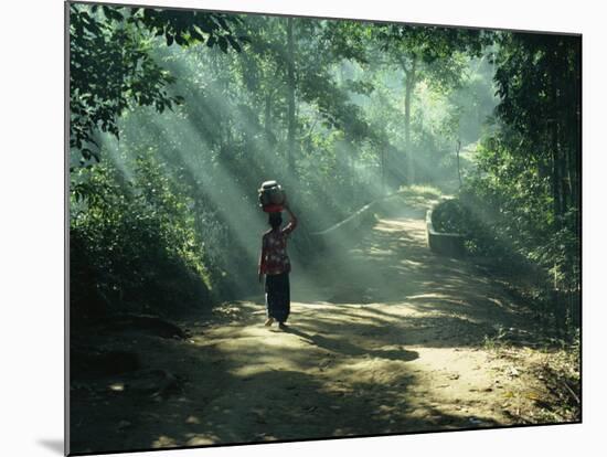 Woman Carrying Coconuts to Market, Peliatan, Bali, Indonesia, Southeast Asia-James Green-Mounted Photographic Print