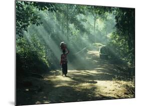 Woman Carrying Coconuts to Market, Peliatan, Bali, Indonesia, Southeast Asia-James Green-Mounted Photographic Print