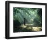 Woman Carrying Coconuts to Market, Peliatan, Bali, Indonesia, Southeast Asia-James Green-Framed Photographic Print