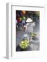 Woman Carrying Fruit Along Street, Hoi An, Quang Nam, Vietnam, Indochina, Southeast Asia, Asia-Ian Trower-Framed Photographic Print