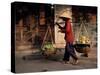 Woman Carrying Fruit and Vegetables, Hoi An, Central Vietnam, Vietnam, Indochina, Southeast Asia-Gavin Hellier-Stretched Canvas