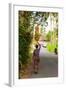 Woman Carrying Offering to Temple, Pejeng Kaja, Tampaksiring, Bali, Indonesia-null-Framed Photographic Print