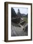 Woman Climbing Stairs at Mayan Archaeological Site, Tikalguatemala, Central America-Colin Brynn-Framed Photographic Print