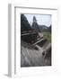 Woman Climbing Stairs at Mayan Archaeological Site, Tikalguatemala, Central America-Colin Brynn-Framed Photographic Print