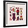 Woman Clothes And Accessories-yemelianova-Framed Art Print