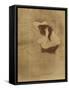 Woman Combing Her Hair - La Coiffure, Plate VII from Elles; Femme Qui Se Peigne - La Coiffure,…-Henri de Toulouse-Lautrec-Framed Stretched Canvas