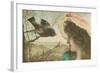 Woman Communing with Starling-null-Framed Art Print