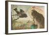 Woman Communing with Starling-null-Framed Art Print