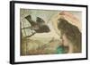 Woman Communing with Starling-null-Framed Art Print