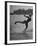 Woman Competing in the National Water Skiing Championship Tournament-Mark Kauffman-Framed Photographic Print