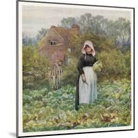 Woman Cuts Cabbages-Helen Allingham-Mounted Art Print