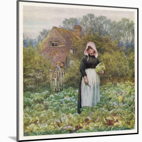 Woman Cuts Cabbages-Helen Allingham-Mounted Art Print