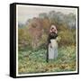 Woman Cuts Cabbages-Helen Allingham-Framed Stretched Canvas