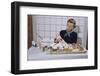 Woman Decorating Cup Cakes-William P. Gottlieb-Framed Photographic Print