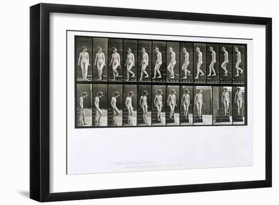 Woman Descending Steps, Plate 137 from 'Animal Locomotion', 1887 (B/W Photo)-Eadweard Muybridge-Framed Giclee Print