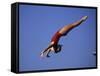 Woman Diver Flying Through the Air-null-Framed Stretched Canvas